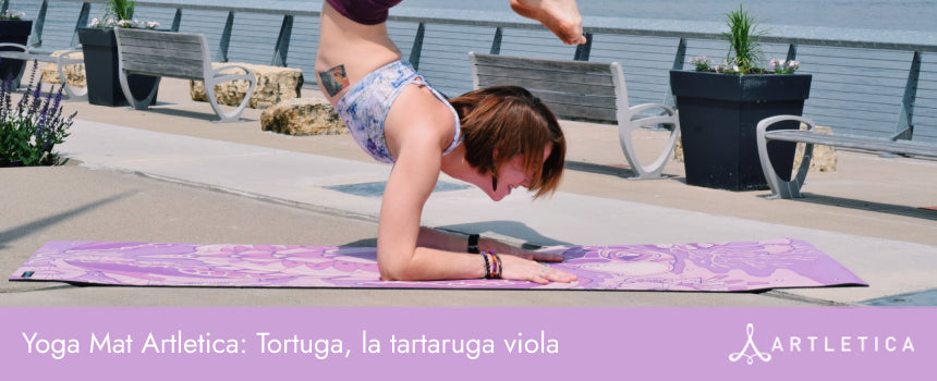 Tortuga, la tartaruga viola
